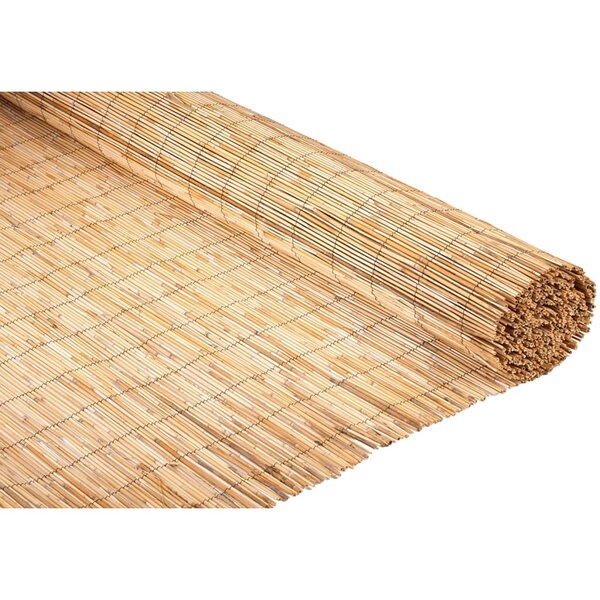 Nature Écran de jardin Roseau 1 5 x 3 m