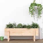 vidaXL Lit surélevé de jardin 101x30x38 cm bois de pin massif