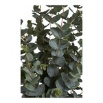 Plante artificielle vert Eucalyptus 120 cm