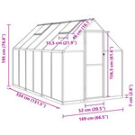 vidaXL Serre avec cadre de base anthracite 334x169x195 cm aluminium