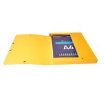 Boite De Classement Exabox Dos 25mm Carte Lustrée - A4 - Jaune - X 8 - Exacompta