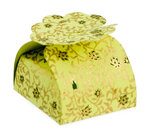 PAPERTREE GAIA Floret Anis - 5 pièces