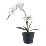 Plante artificielle Orchidée verte et blanche 49 cm