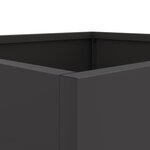 vidaXL Jardinières 2 Pièces noir 32x30x29 cm acier laminé à froid