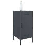 vidaXL Buffets 2 Pièces anthracite 36x39x79 cm acier