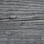 vidaXL Dalles de plancher PVC 5 02 m² 2 mm autoadhésif gris brillant