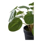 Plante artificielle Pilea plante à monnaie chinoise verte 28 cm