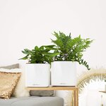 Lechuza jardinière de table cube glossy 16 all-in-one blanc brillant