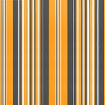 vidaXL Tissu de remplacement pour auvent rayures multicolores 5x3 5 m