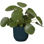 Pot de fleurs Rond VIBES - Plastique - Ø 25 - Bleu Foncé