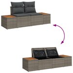 Ensemble de Canapé de Jardin 13 Pièces avec Coussins Gris Rattan Poly Acacia
