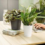 LECHUZA Jardinière DELTINI ALL-IN-ONE Blanc brillant