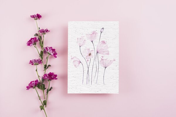 Carte à planter coquelicot rose