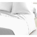 Drap Plat 100  coton 240 x 300 cm blanc