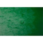 Trieur Agrafé Avec Élastiques 12 Compartiments - Vert - X 8 - Exacompta
