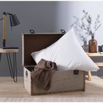Oreiller grand luxe Quallofil Allerban 60 x 60 cm - Blanc