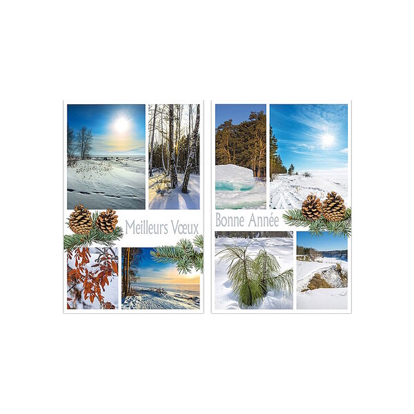 Carte De Voeux - 5 Cartes Bonne Année Paysages Enneigés Décor Pailleté