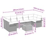 vidaXL Ensemble de canapés de jardin 8 pièces avec coussins en poly rotin noir et acacia