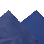 vidaXL Bâche bleu 4x6 m 650 g/m²