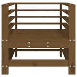vidaXL Chaises de jardin lot de 2 marron miel bois massif de pin