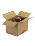 (lot  20 caisses) caisse carton palettisable a - norme ect - longueur de 300 à 600 mm 600 x 400 x 300 mm