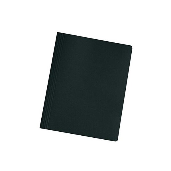 Chemise à lamelle Easyorga A4 Carte 240g Noir HERLITZ