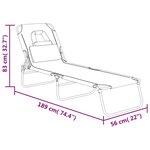 vidaXL Chaise longue pliante gris tissu oxford acier enduit de poudre