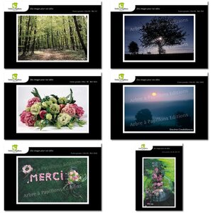 Lot de 6 cartes postales - voeux 2 - photos frédéric engel