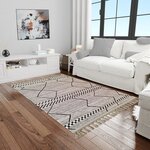 Tapis de salon ASNI 200 x 300 cm - Gris