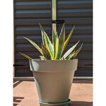 Bac à fleurs rond SOLEILLA - Plastique Ø 50 cm - Vert argile