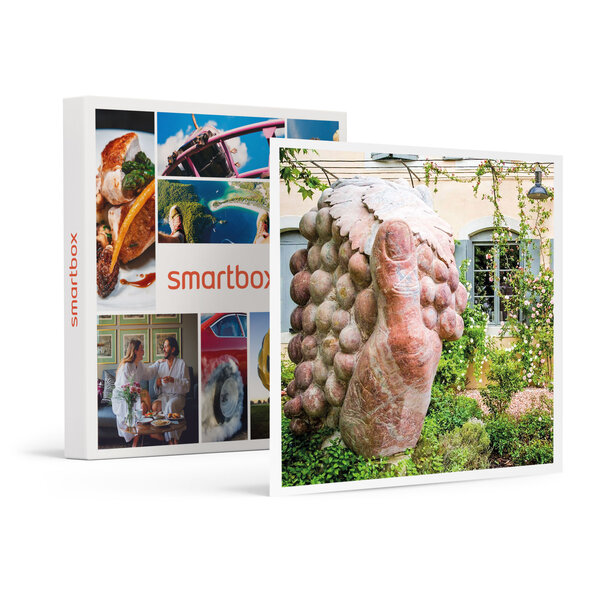 SMARTBOX - Coffret Cadeau Séjour en famille : 3 jours en suite dans un hôtel près de Carcassonne -  Séjour