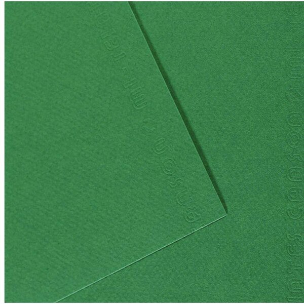 Paquet de 10 feuilles Mi-Teintes CANSON 50 x 65 cm 160 g coloris vert billard