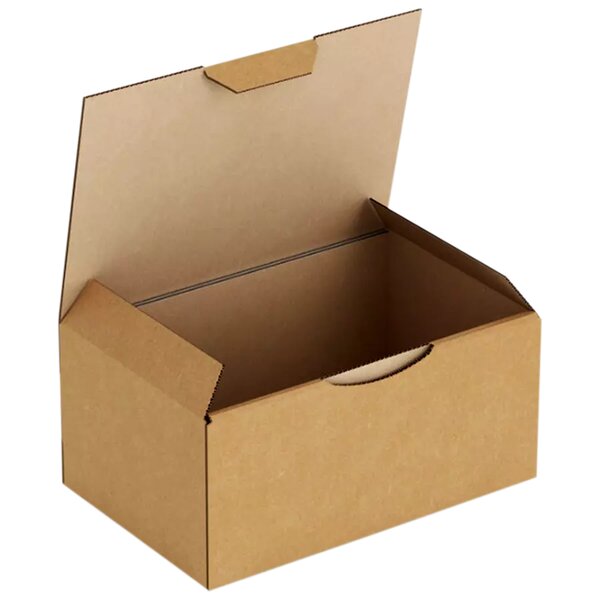 Boîte postale carton montage manuel 20x14x7 5 cm – (100 unités) – Bulteau Systems