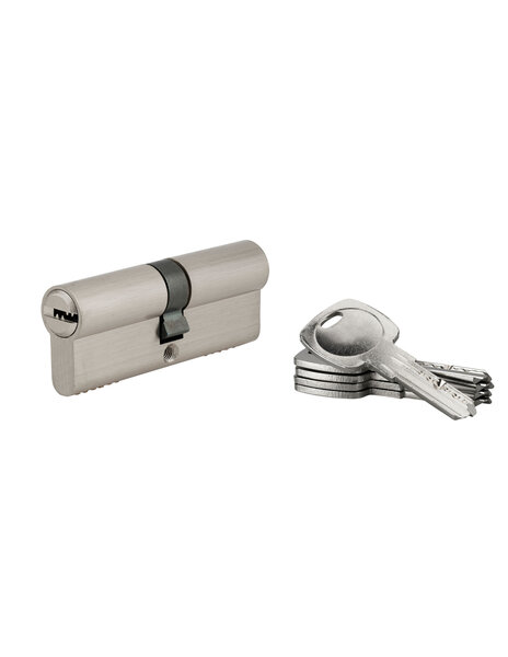 SP - Cylindre de serrure à  double entrée Tiger 6 Dynamic  30x30mm  nickelé  anti-arrachement  anti-perçage  5 clés