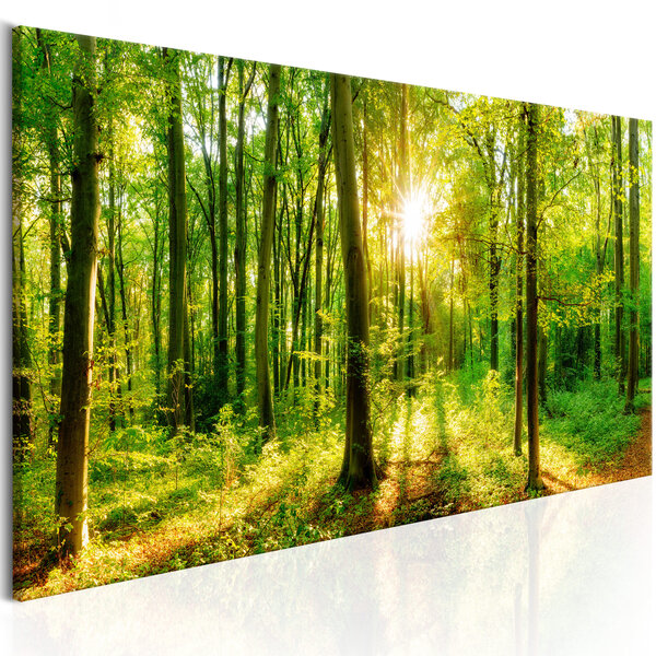 Tableau - green magic l x h en cm 120x40