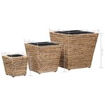 vidaXL Lits surélevés 3 Pièces Jacinthe d'eau
