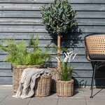 4 paniers ronds en rotin avec poignées et intérieur plastifié