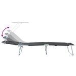 vidaXL Chaises longues pliantes 2 Pièces avec auvent en tissu Oxford 600D noir