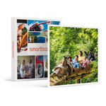 SMARTBOX - Coffret Cadeau Billets pour le Parc Astérix : 2 entrées adulte et 2 entrées enfant en 2025 -  Multi-thèmes