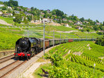 SMARTBOX - Coffret Cadeau Journée en Suisse en train panoramique avec repas et apéritif en classe Confort -  Multi-thèmes