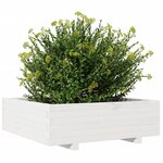 vidaXL Jardinière blanc 80x80x26 5 cm bois de pin massif
