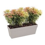 Bac à fleurs balconniere Loft Urban - 50 cm - Gris anthracite