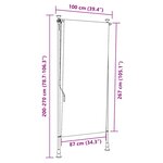 vidaXL Store roulant d'extérieur 100 x 270 cm Anthracite