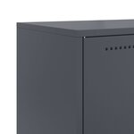 vidaXL Meuble TV noir 68x39x60 5 cm acier