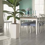 LECHUZA Jardinière Cubico Color 30 ALL-IN-ONE blanc 13130
