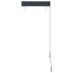 vidaXL Store roulant d'extérieur 60x250 cm Bleu et blanc