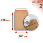 Lot de 100 enveloppes carton wellbox 2 format 215x290 mm