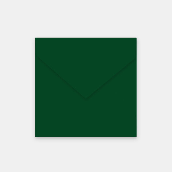 Lot de 50 enveloppes 155x155 mm velin cactus