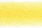 Tournesol