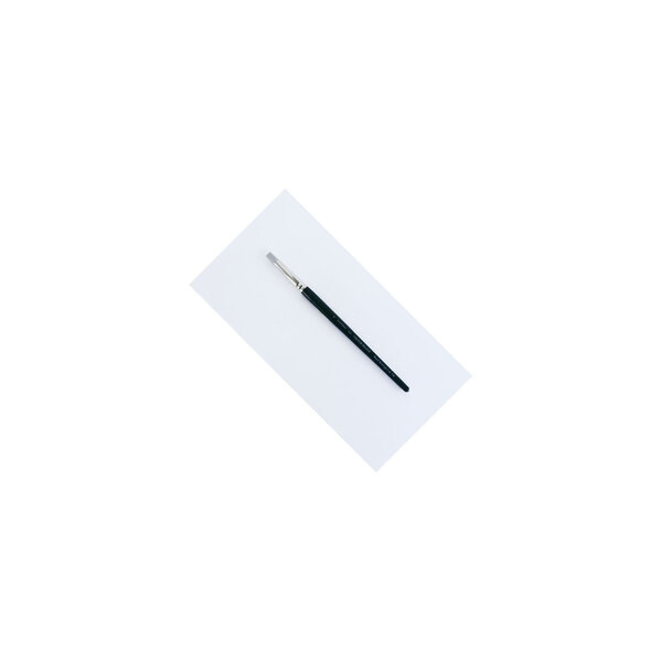 Outil double pointe : C. SHAPER n°6 Ferme Biseau Plat + Pinceau synthétique
